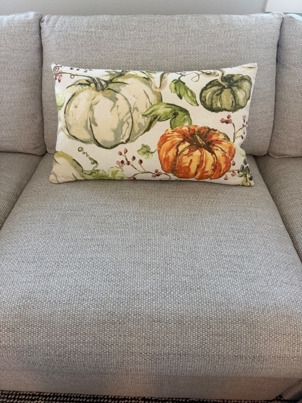 Pottery Barn Lumbar Pillow Cover 16” x  26” Pumpkins